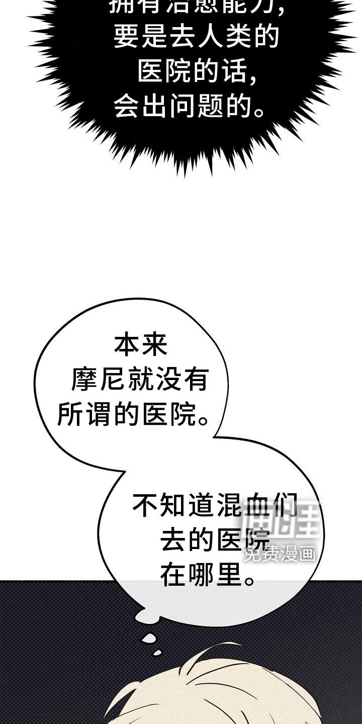第34章：特别活动