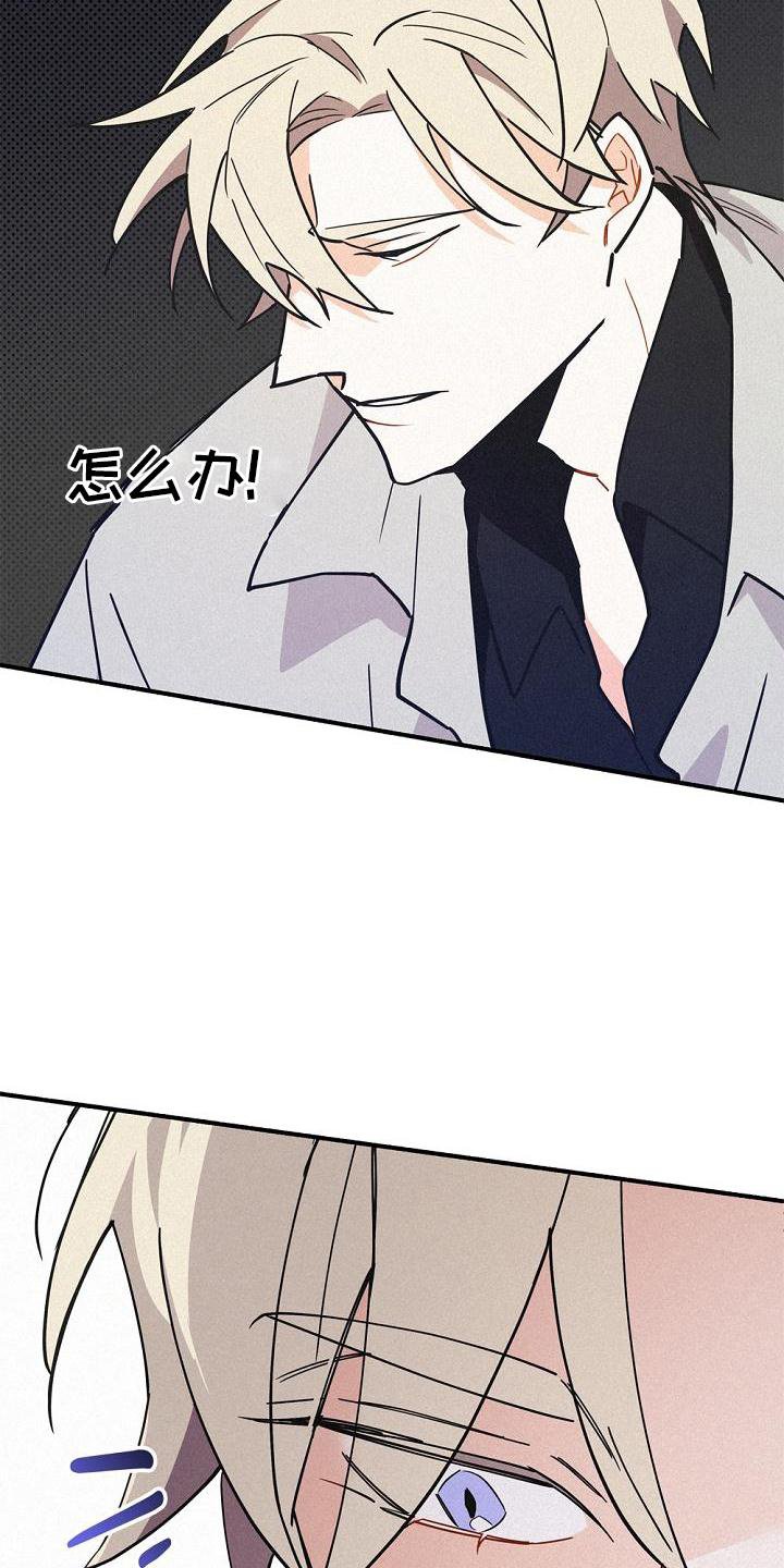 第34章：特别活动