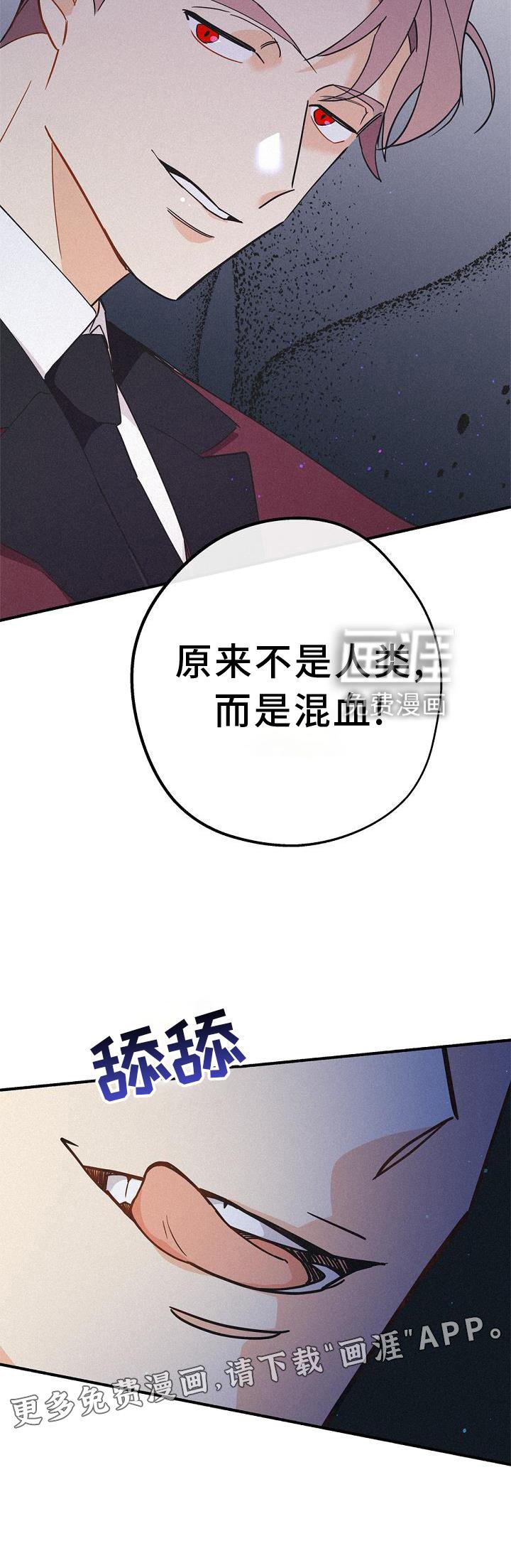 第34章：特别活动