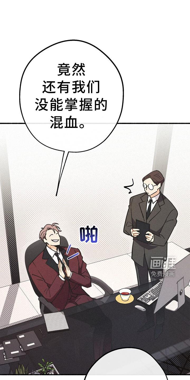 第35章：混血