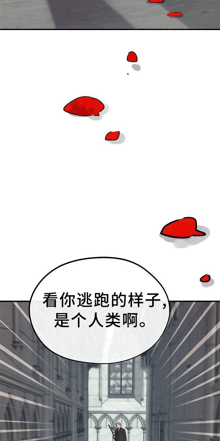 第36章：拉拢