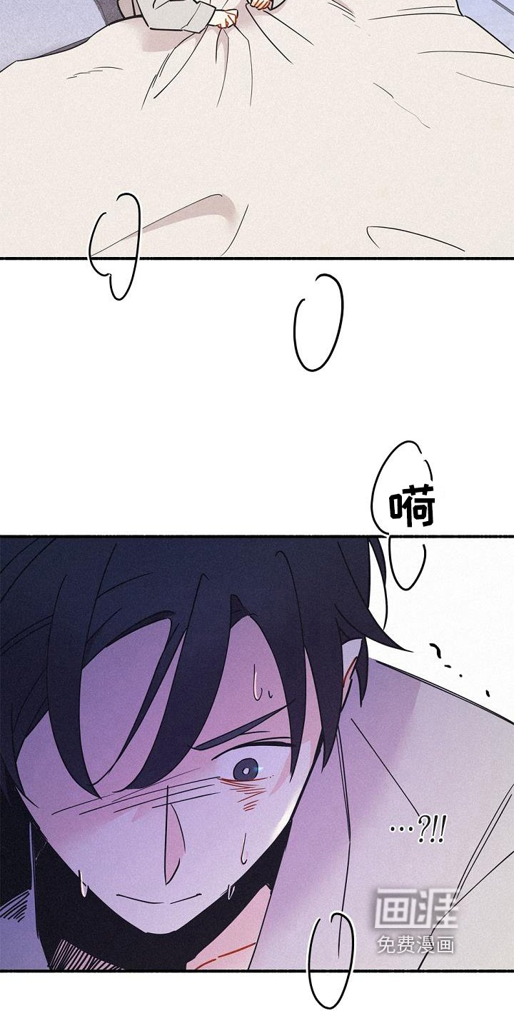 第41章：研究