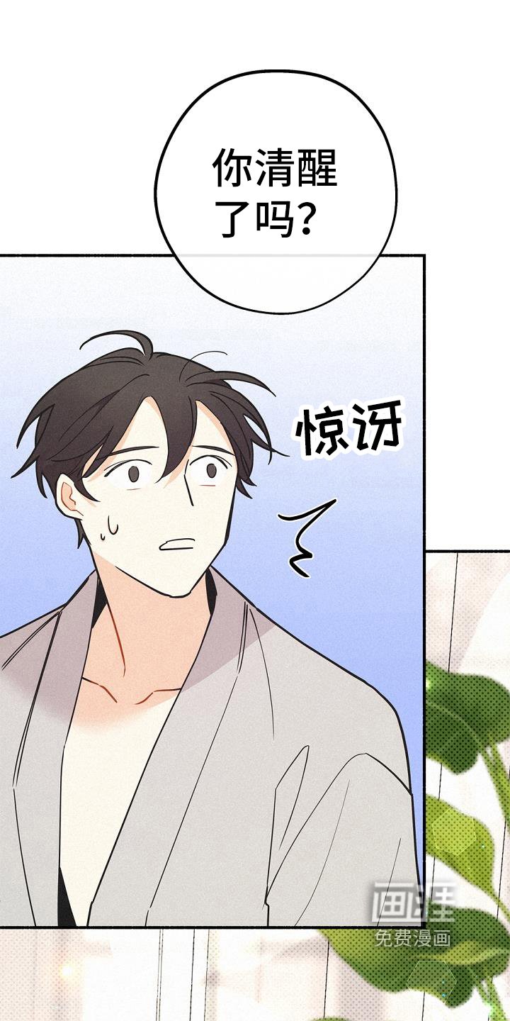 第41章：研究