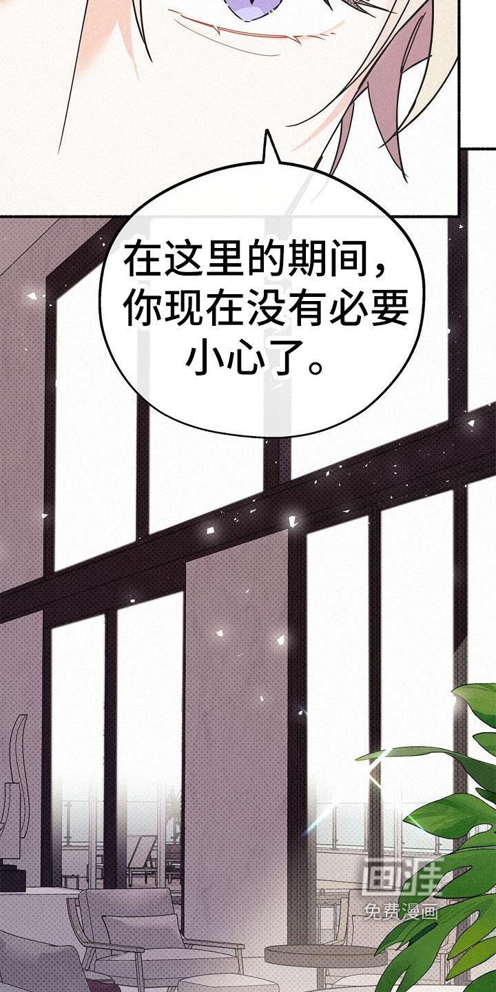 第42章：安心