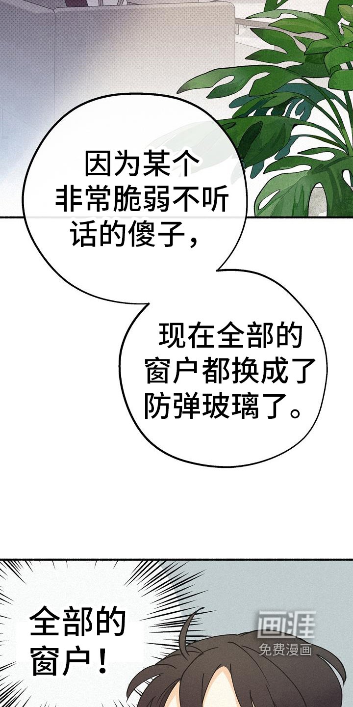 第42章：安心