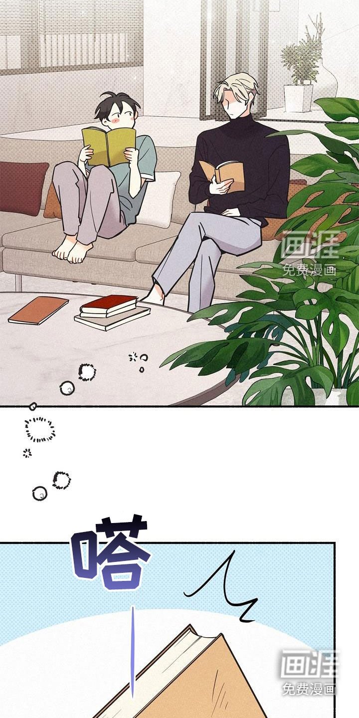 第46章：调查