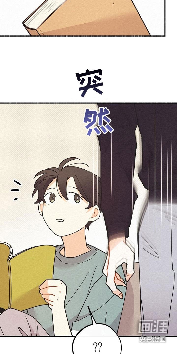 第46章：调查