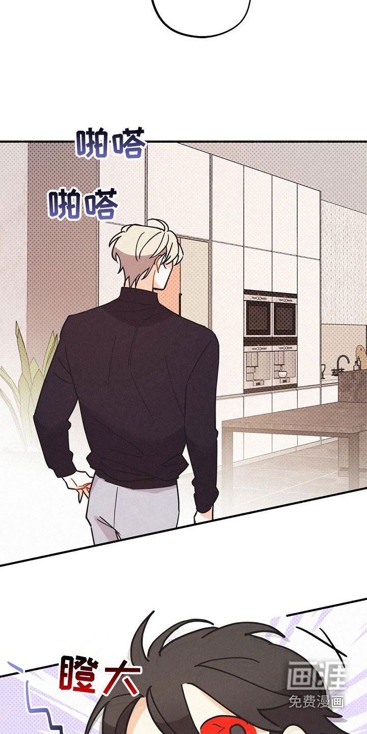 第46章：调查