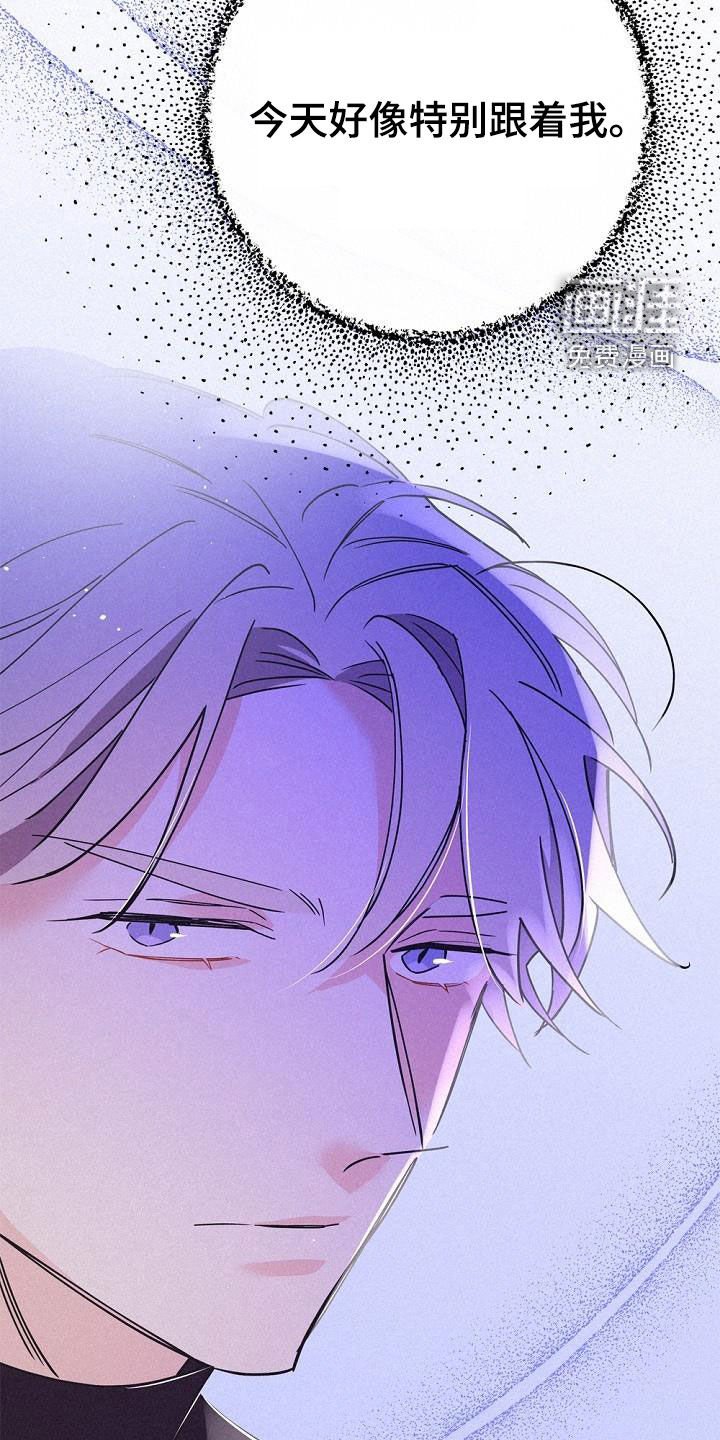 第46章：调查