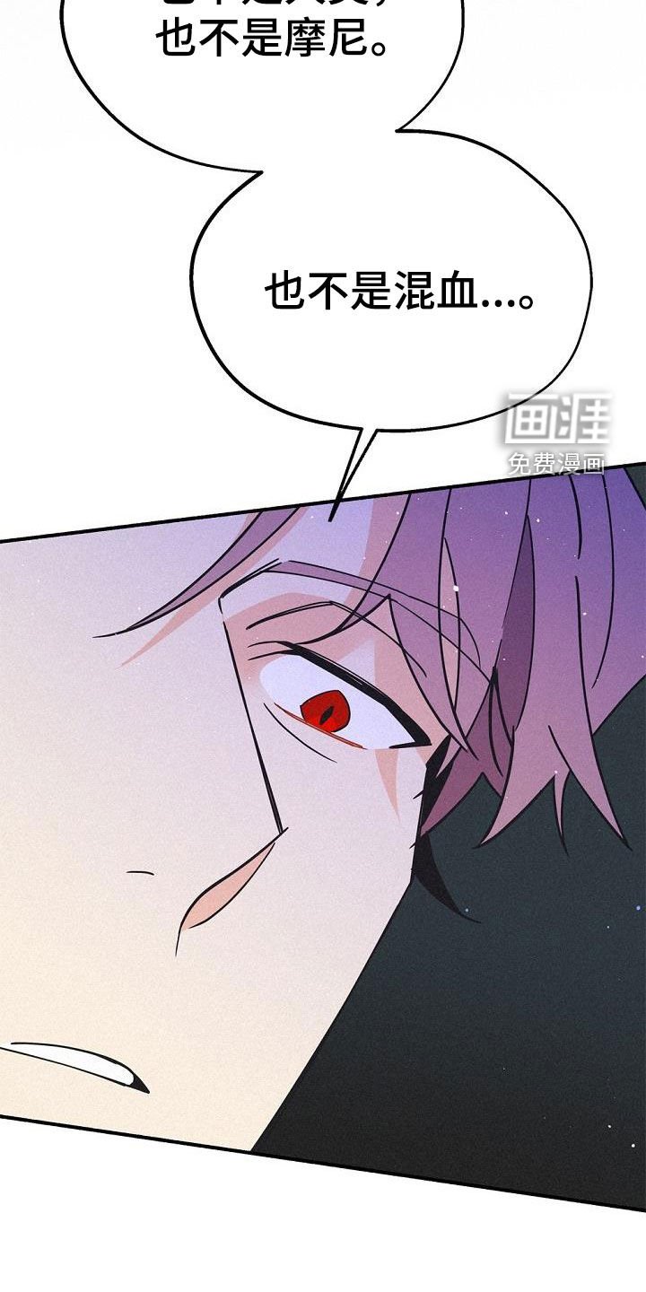 第52章：时机太巧妙