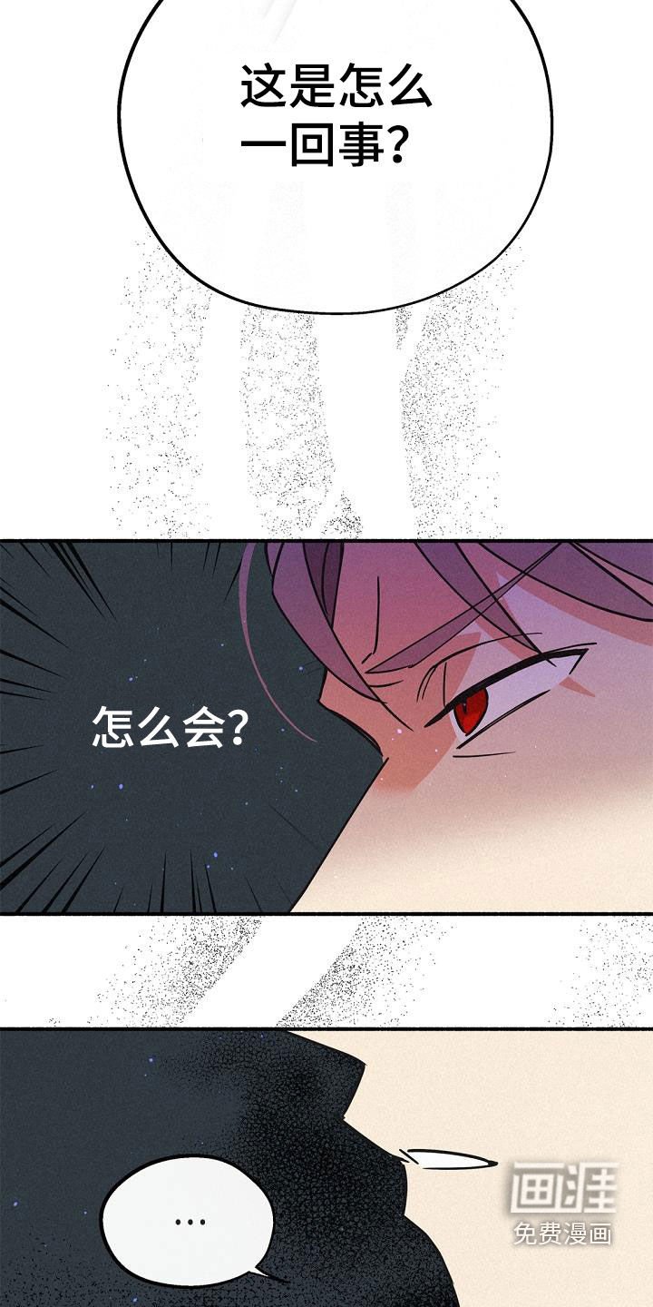 第53章：身份之谜