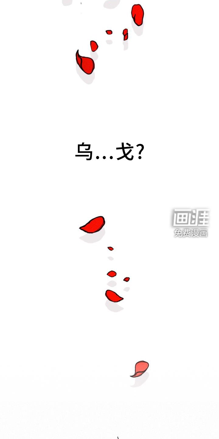 第62章：行李