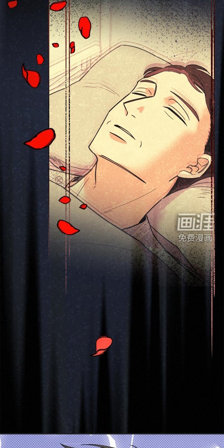 第62章：行李