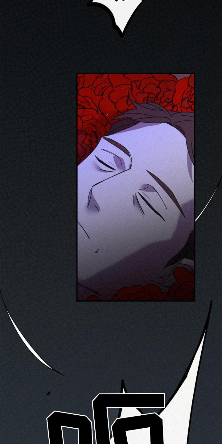 第62章：行李