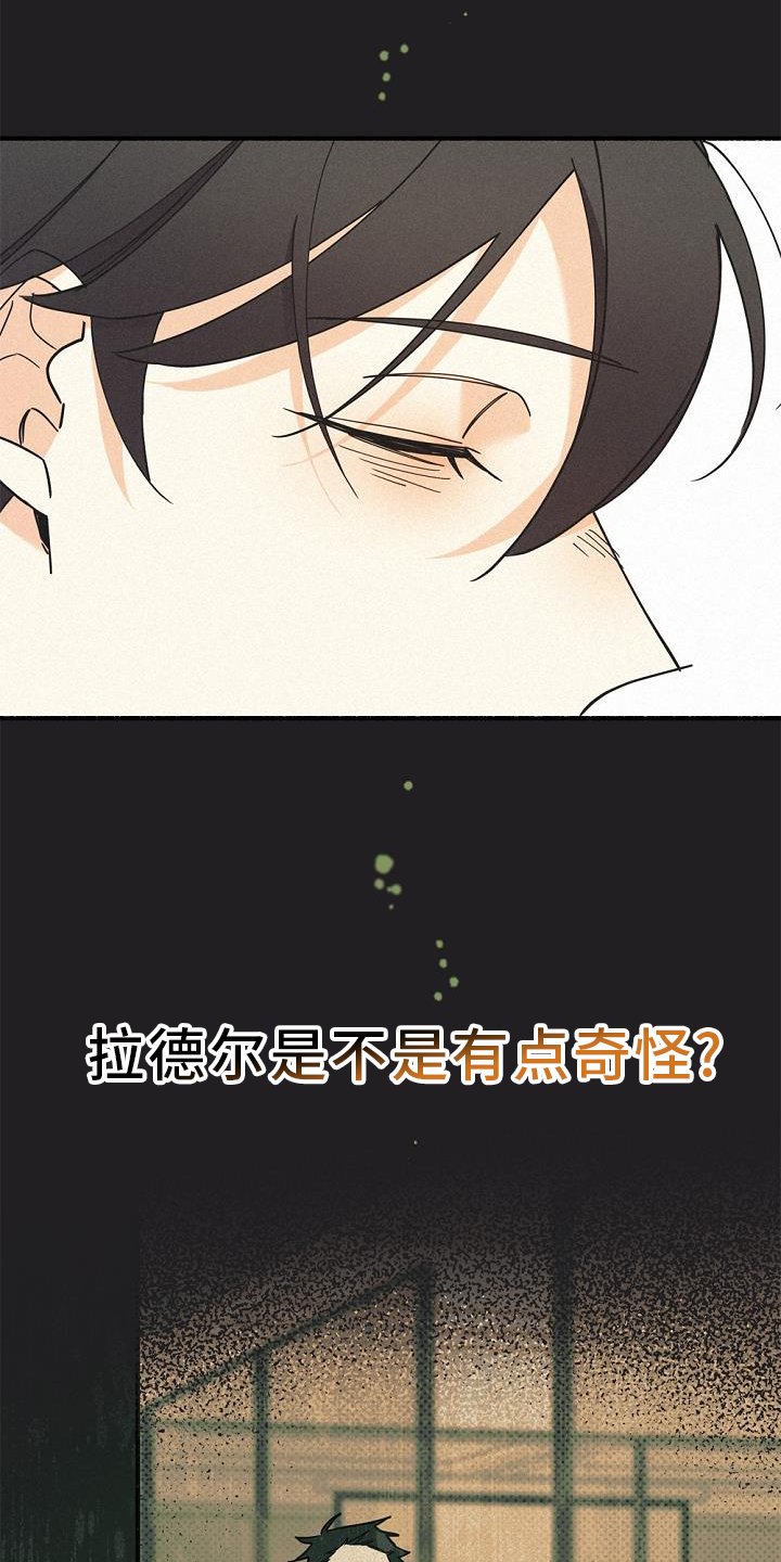 第65章：失去