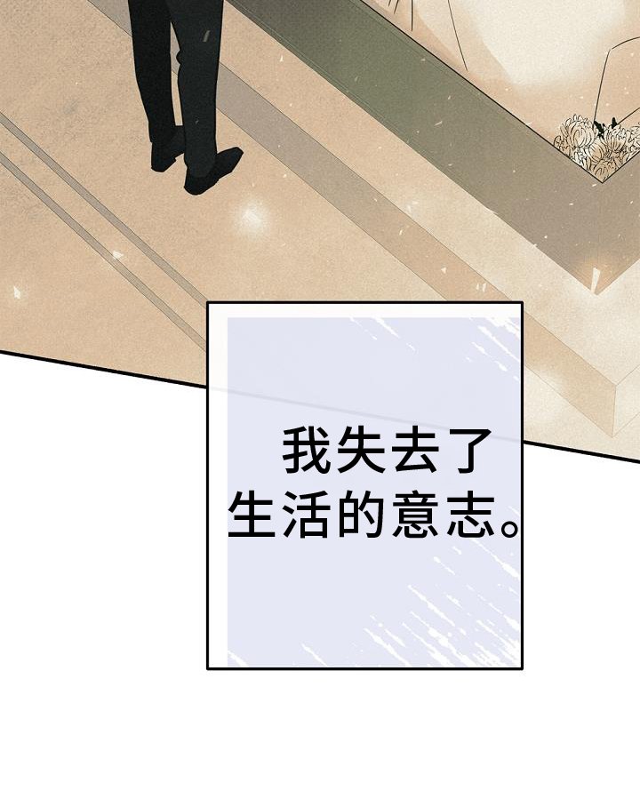 第65章：失去