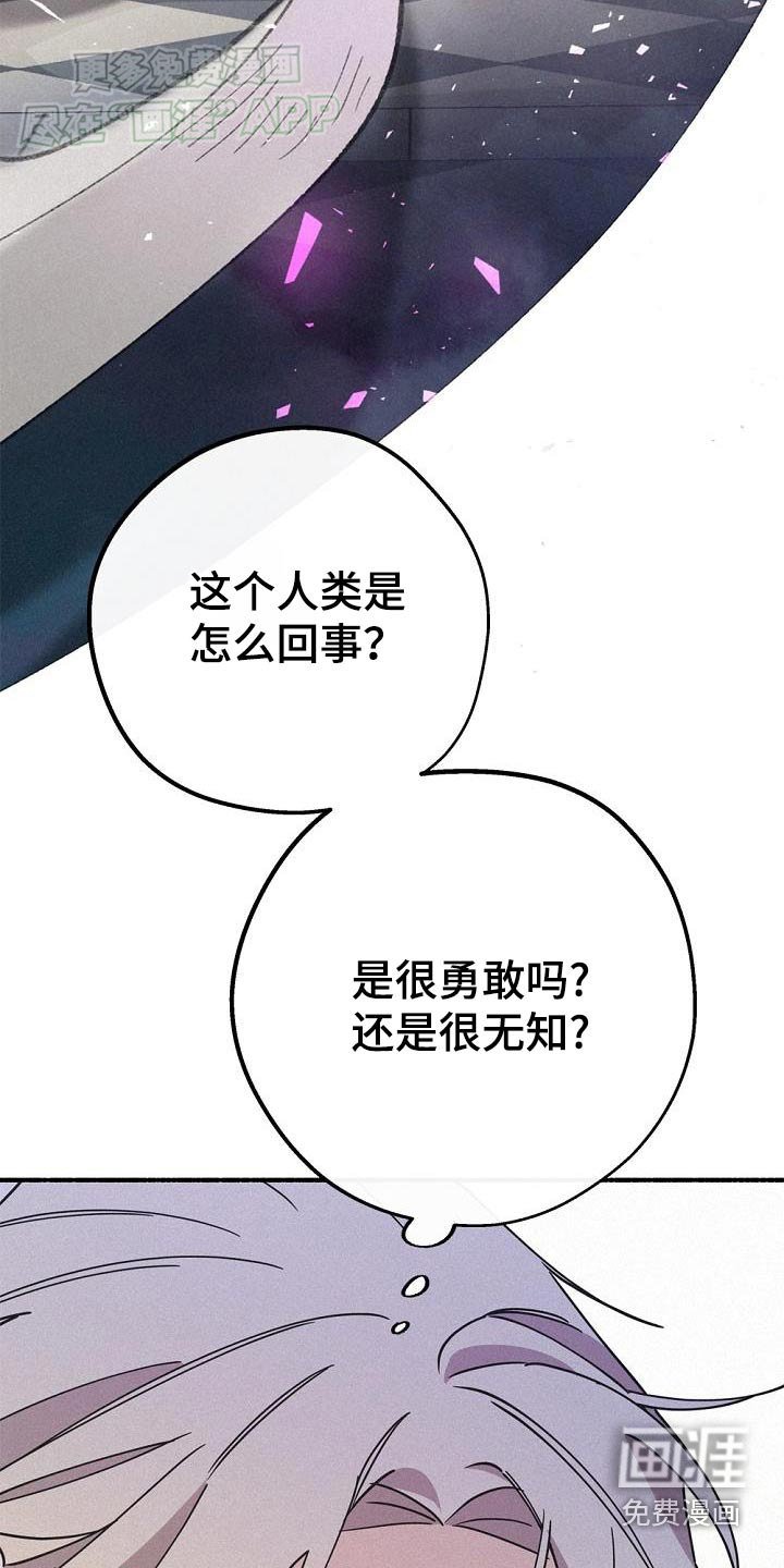 第68章：归还