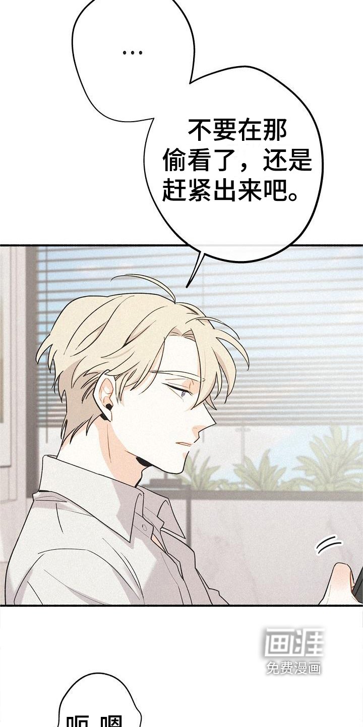 第6章：歉意