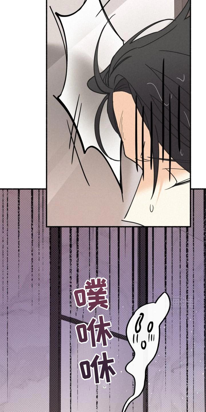 第73章：只是心情好