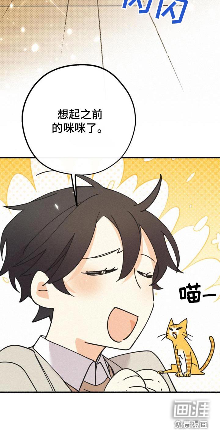第79章：购买