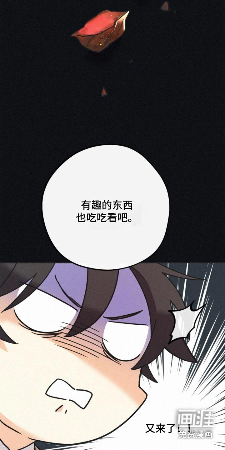 第82章：瞎操心