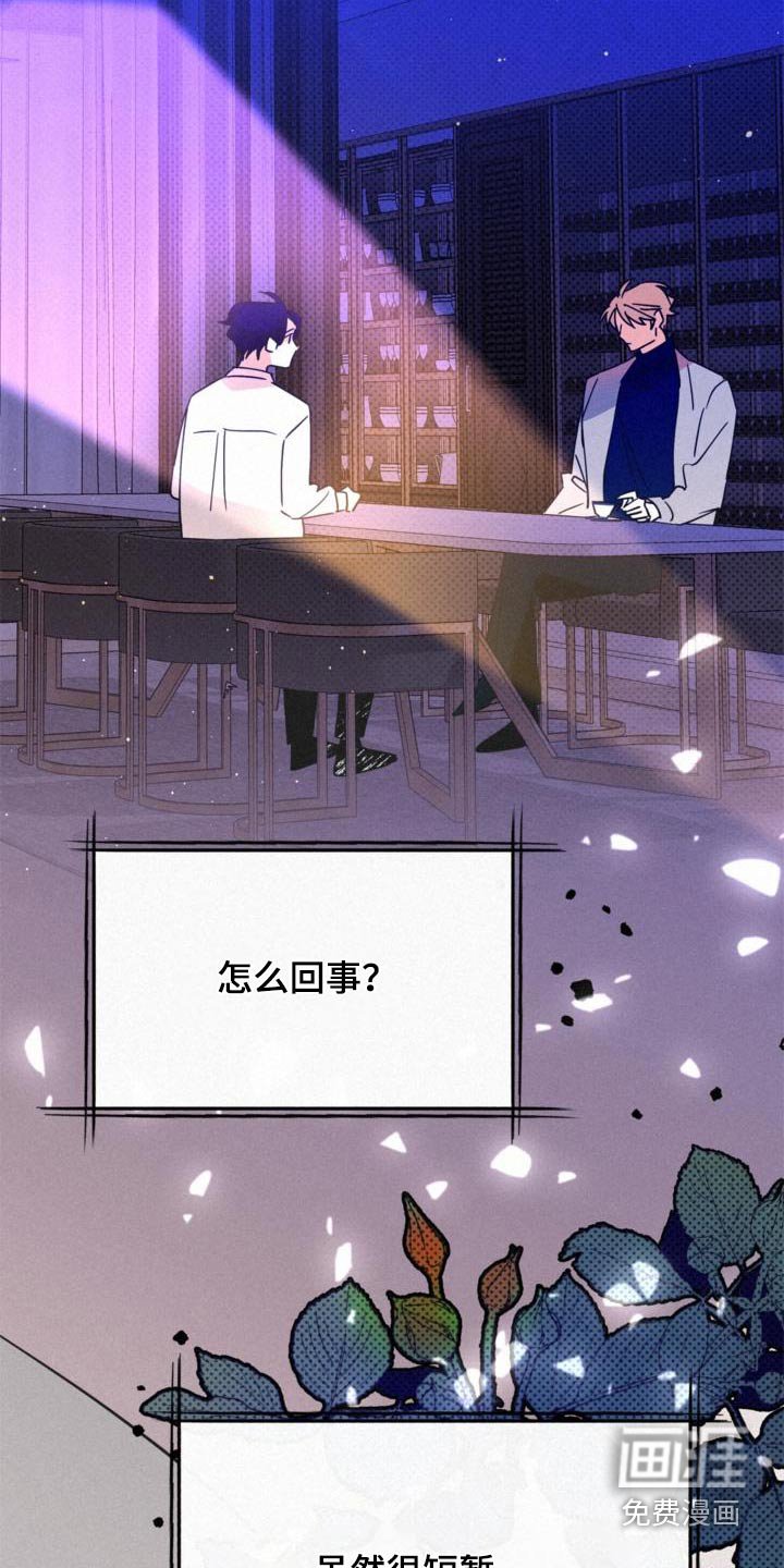 第88章：为什么不让