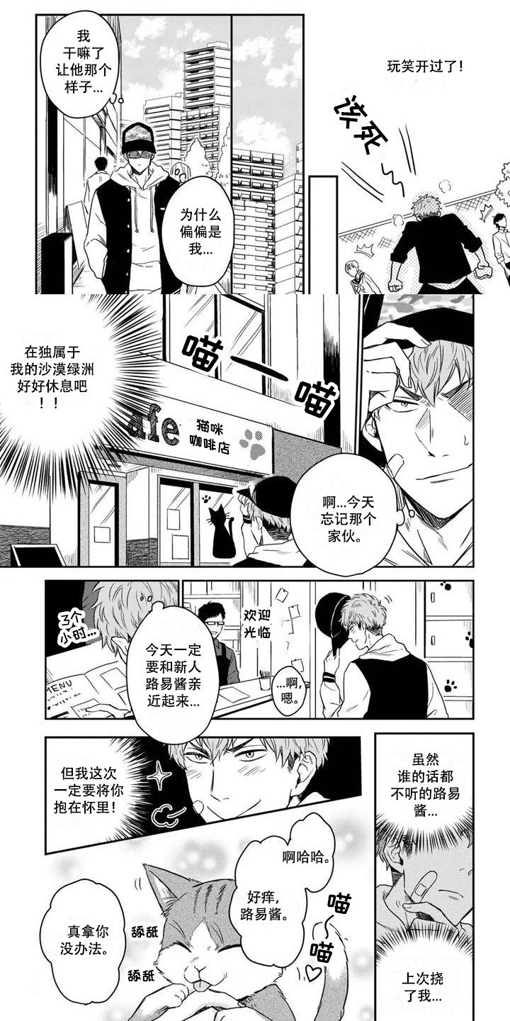第2章：猫咪咖啡店