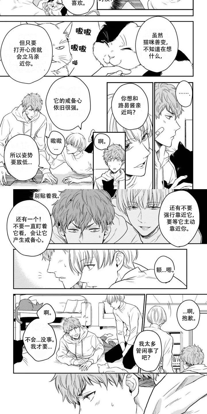 第2章：猫咪咖啡店