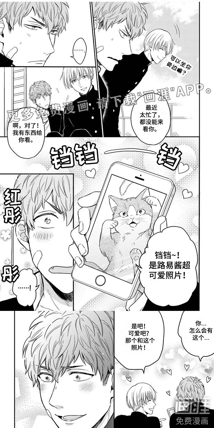第6章：摊牌
