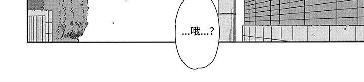 第10章：寻找