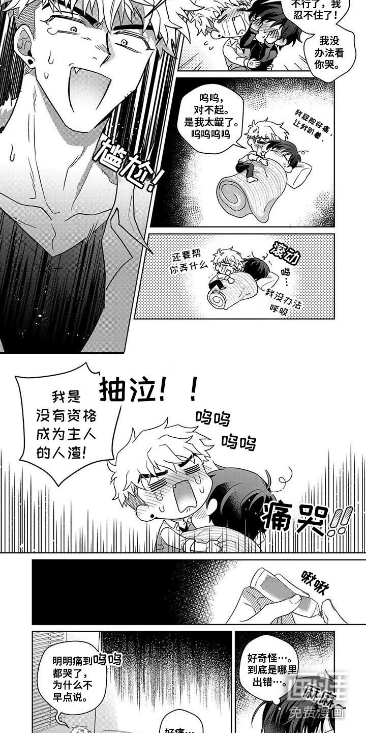 第13章：幻想