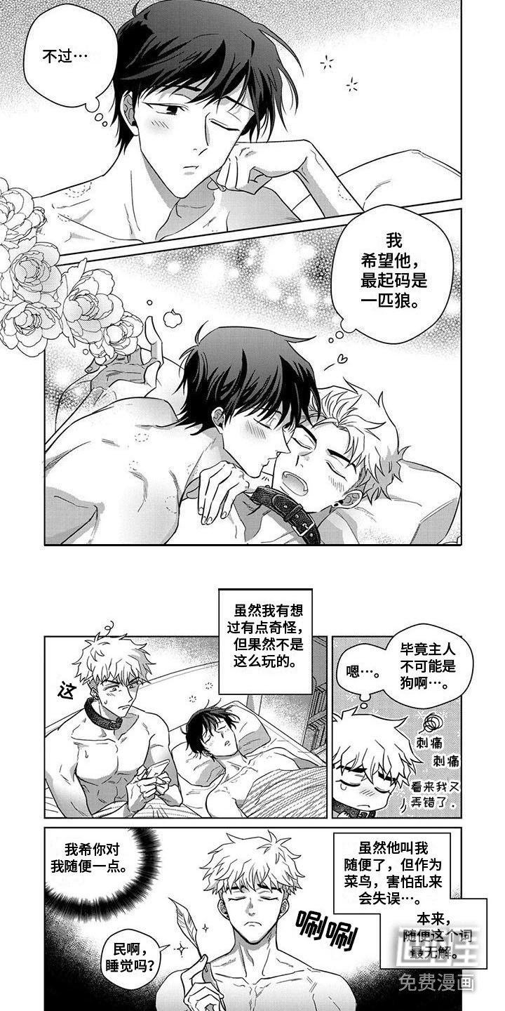 第9章：类型