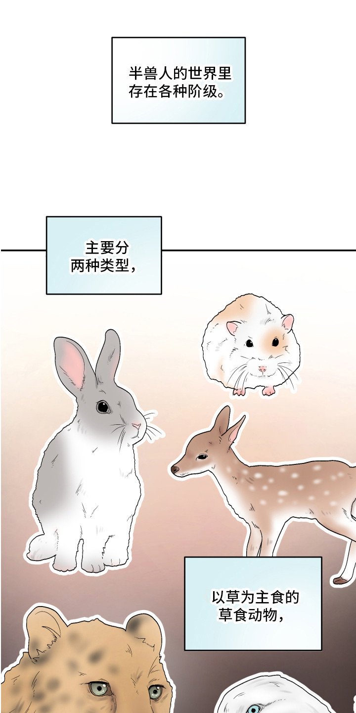 第1章：仓鼠