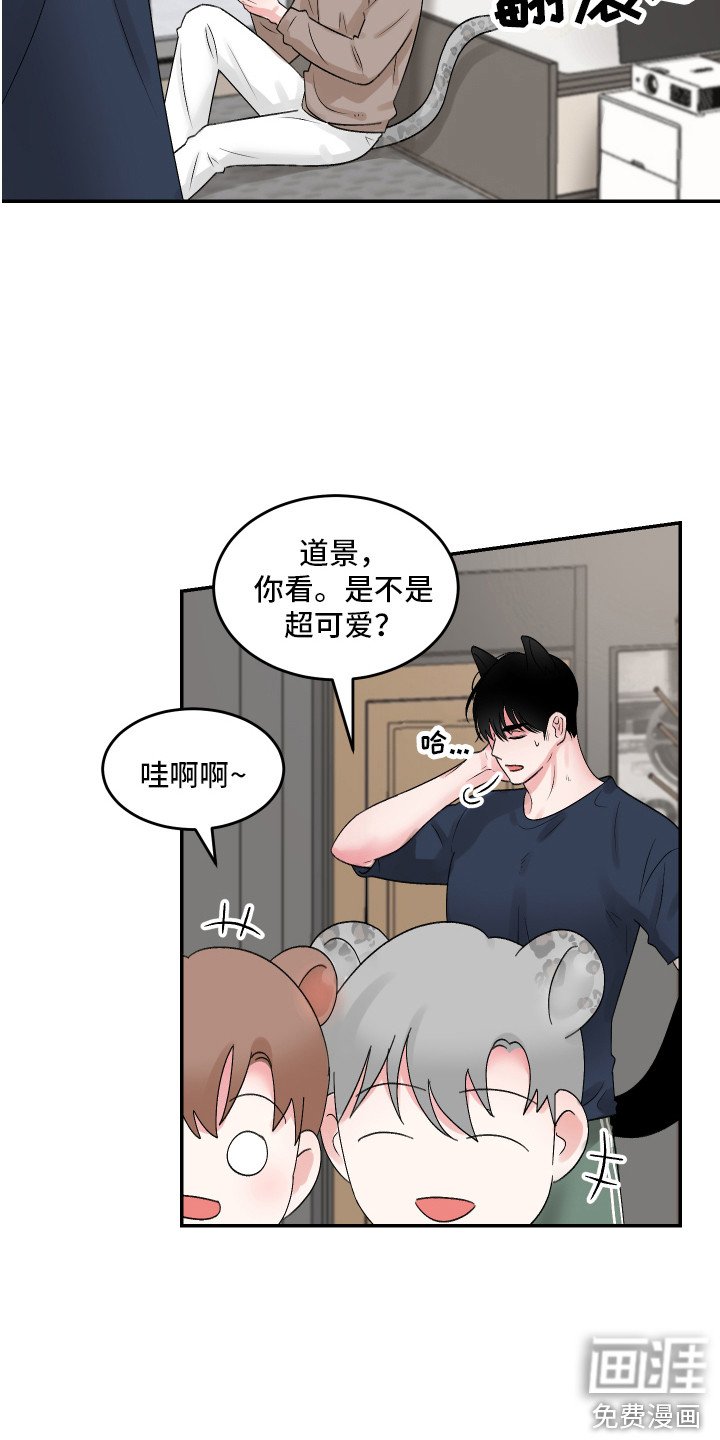 第11章：坦然