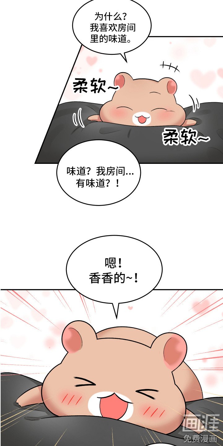 第11章：坦然