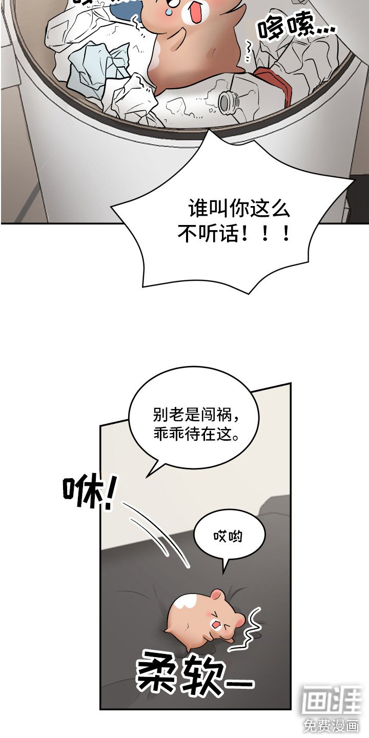 第12章：闹腾
