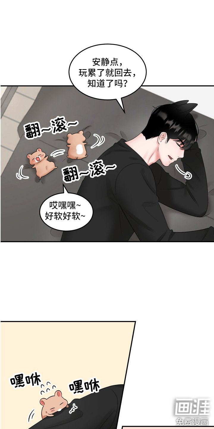 第12章：闹腾