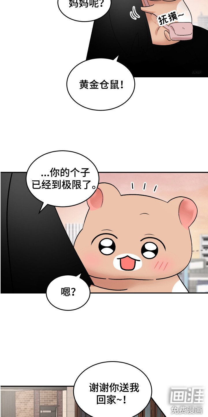 第14章：珍藏的食物