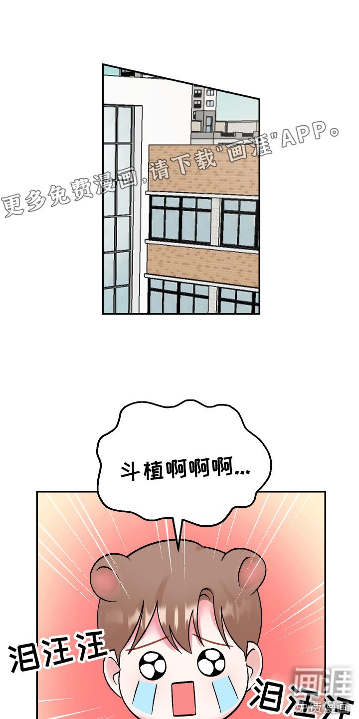 第16章：下定决心