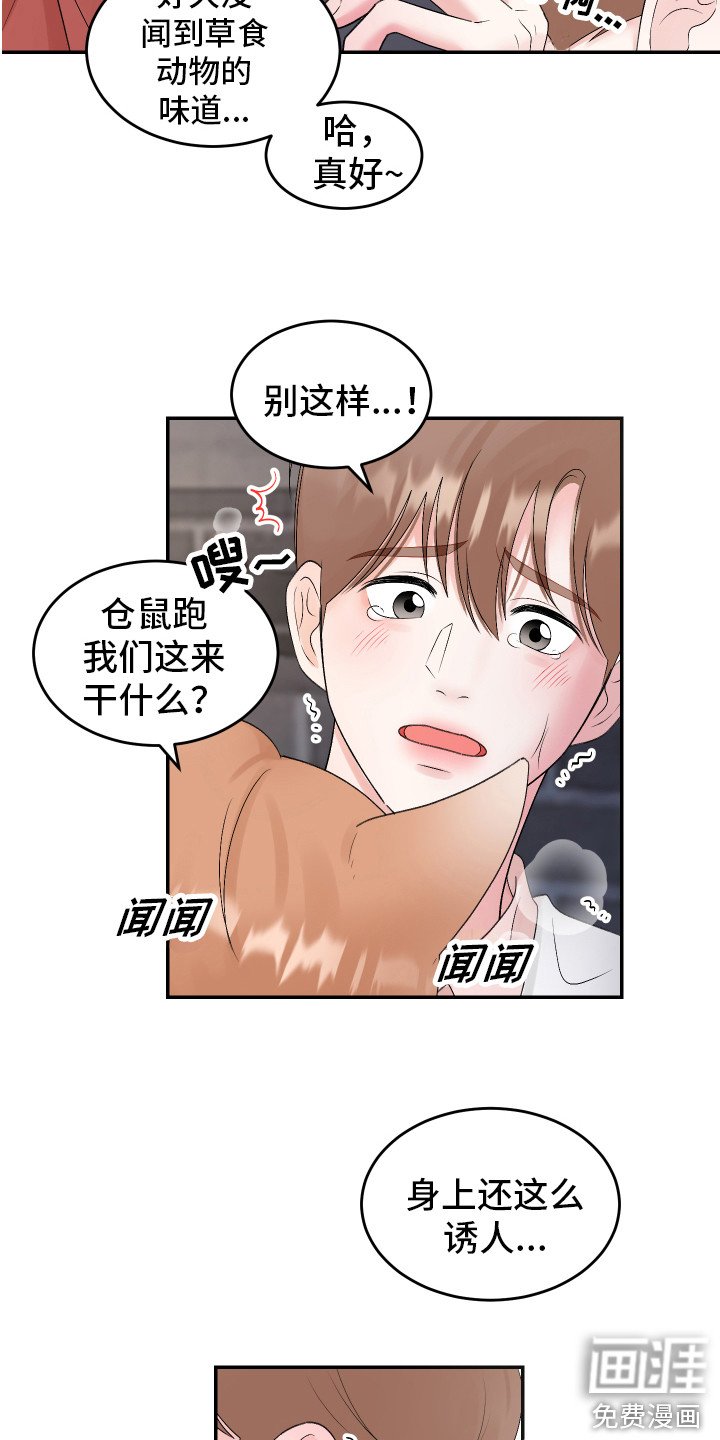 第17章：解围
