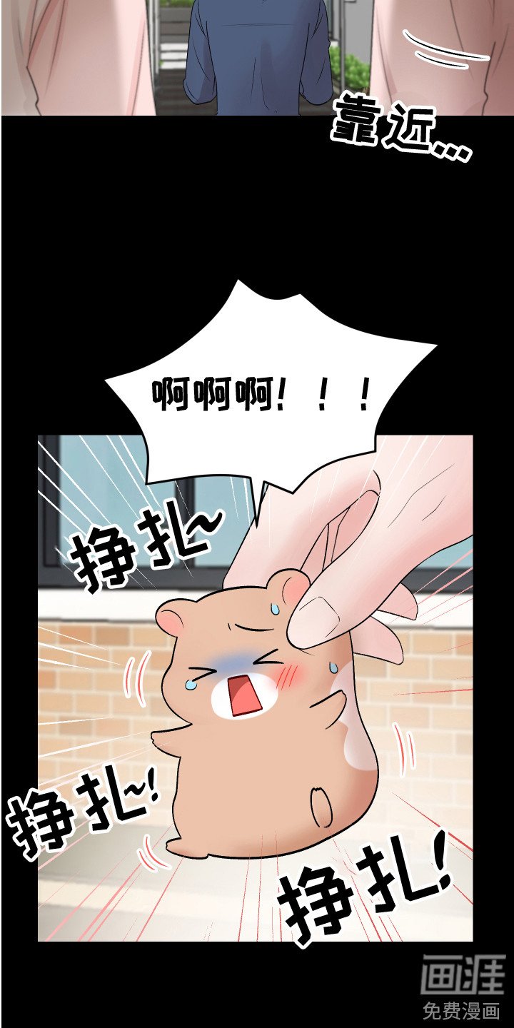 第18章：表白 