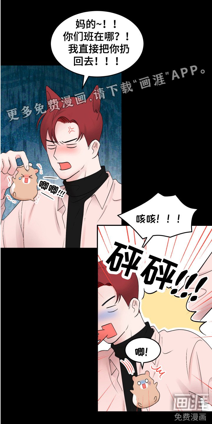 第19章：计划