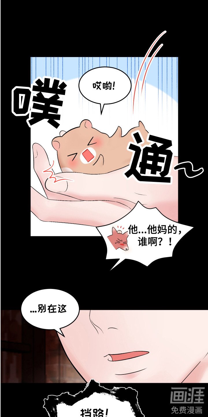 第19章：计划