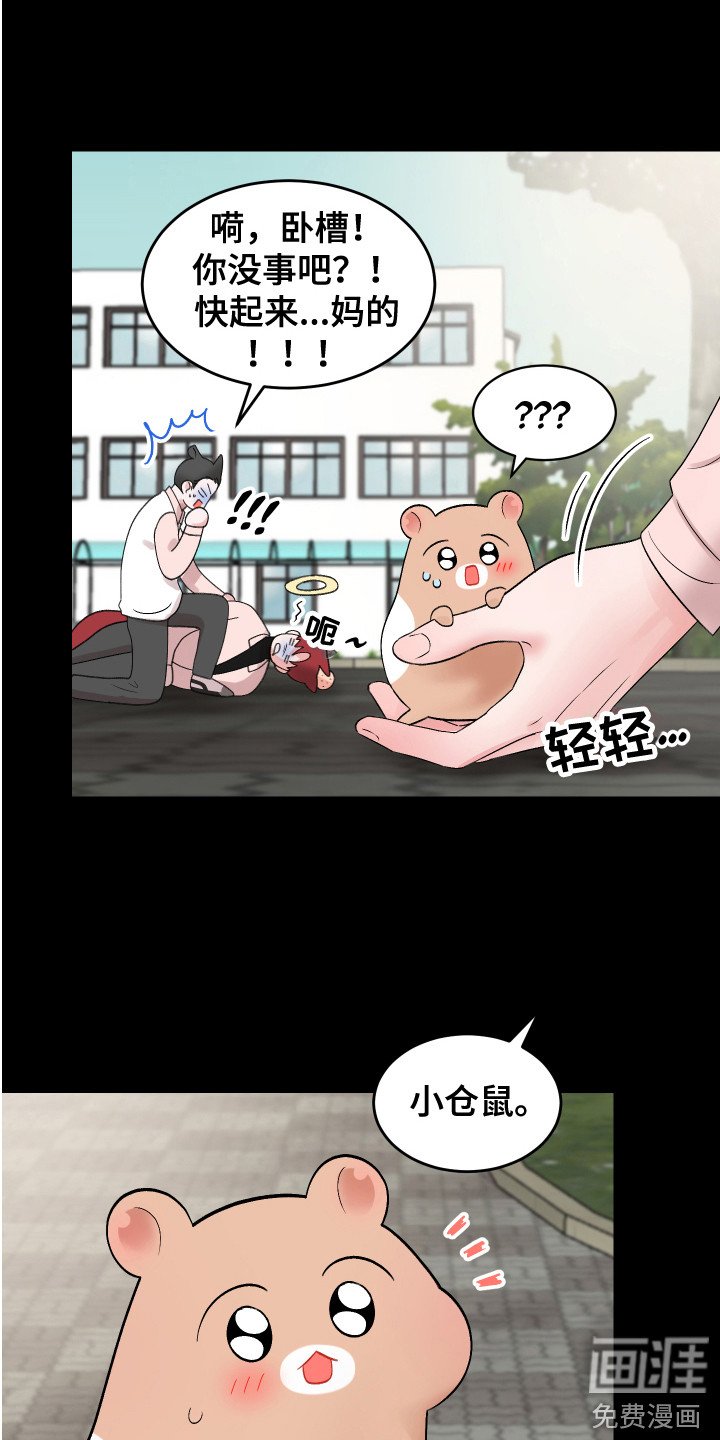 第19章：计划