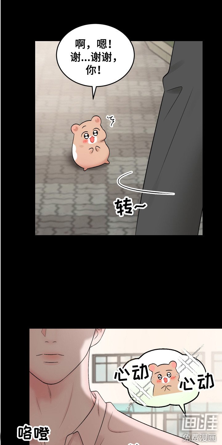第19章：计划