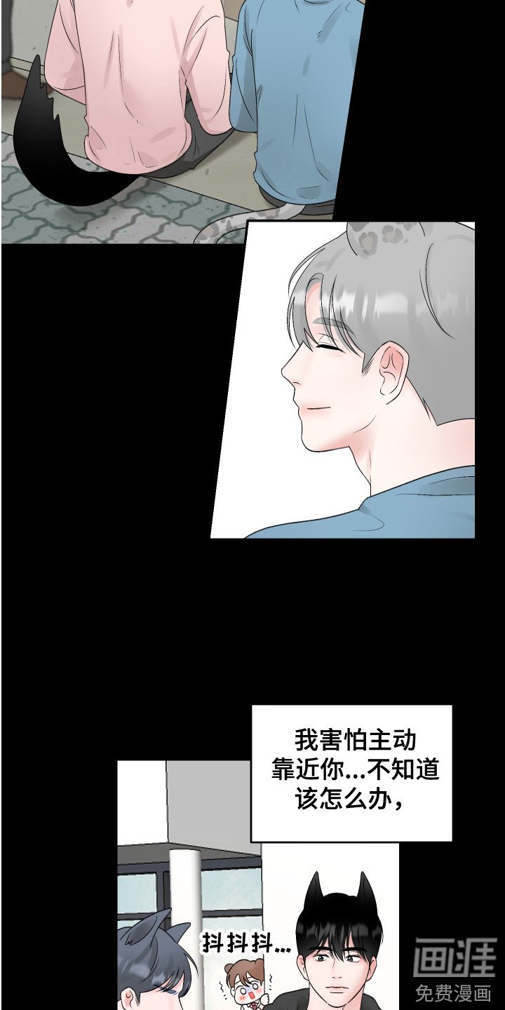 第19章：计划