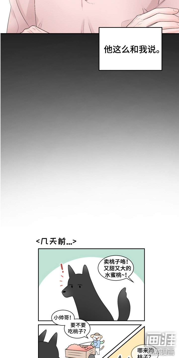 第19章：计划
