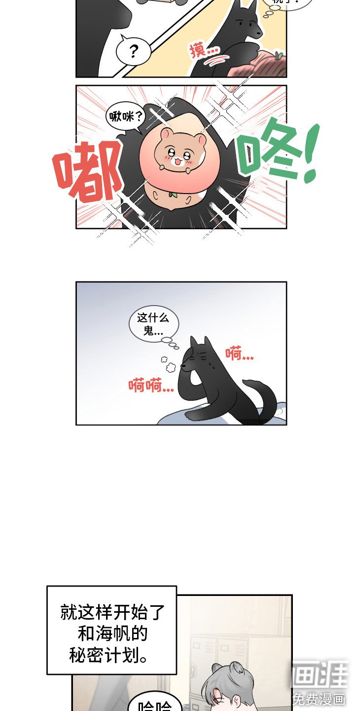 第19章：计划