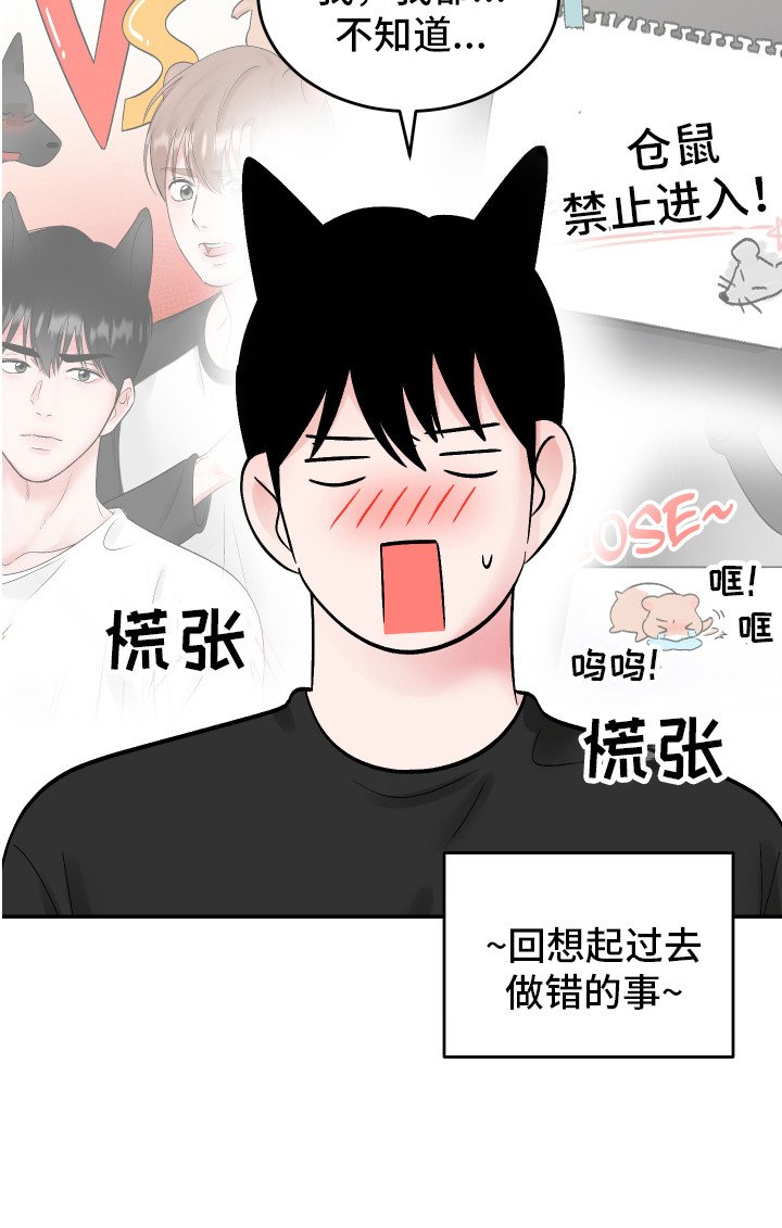 第19章：计划