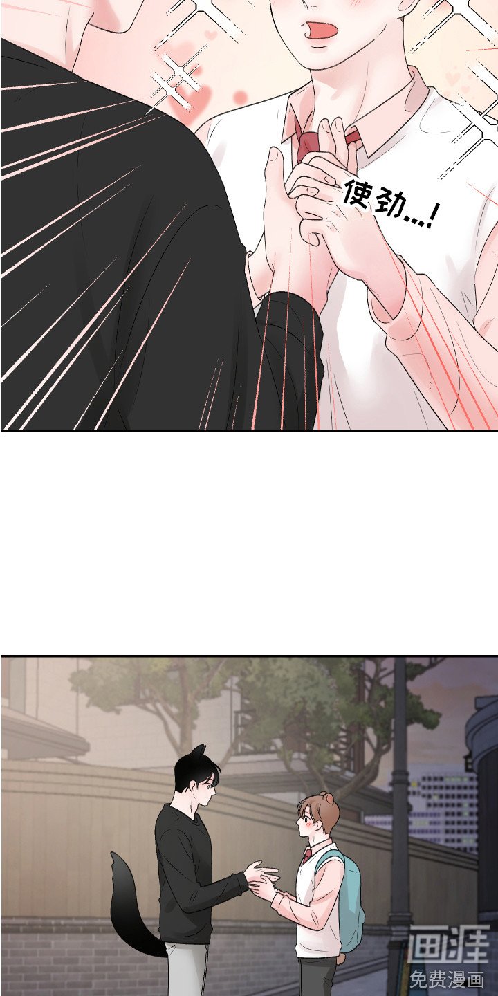 第20章：交往 